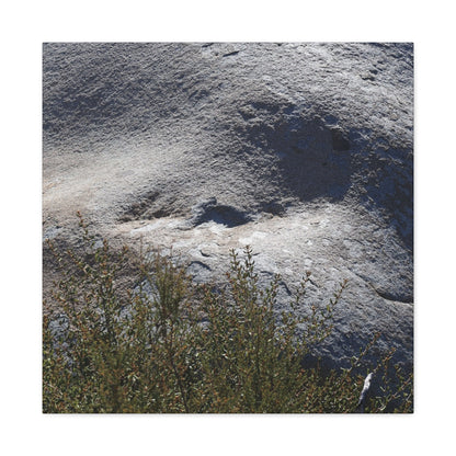 Stone Face in Nature - Unique Frameless Canvas Wall Art