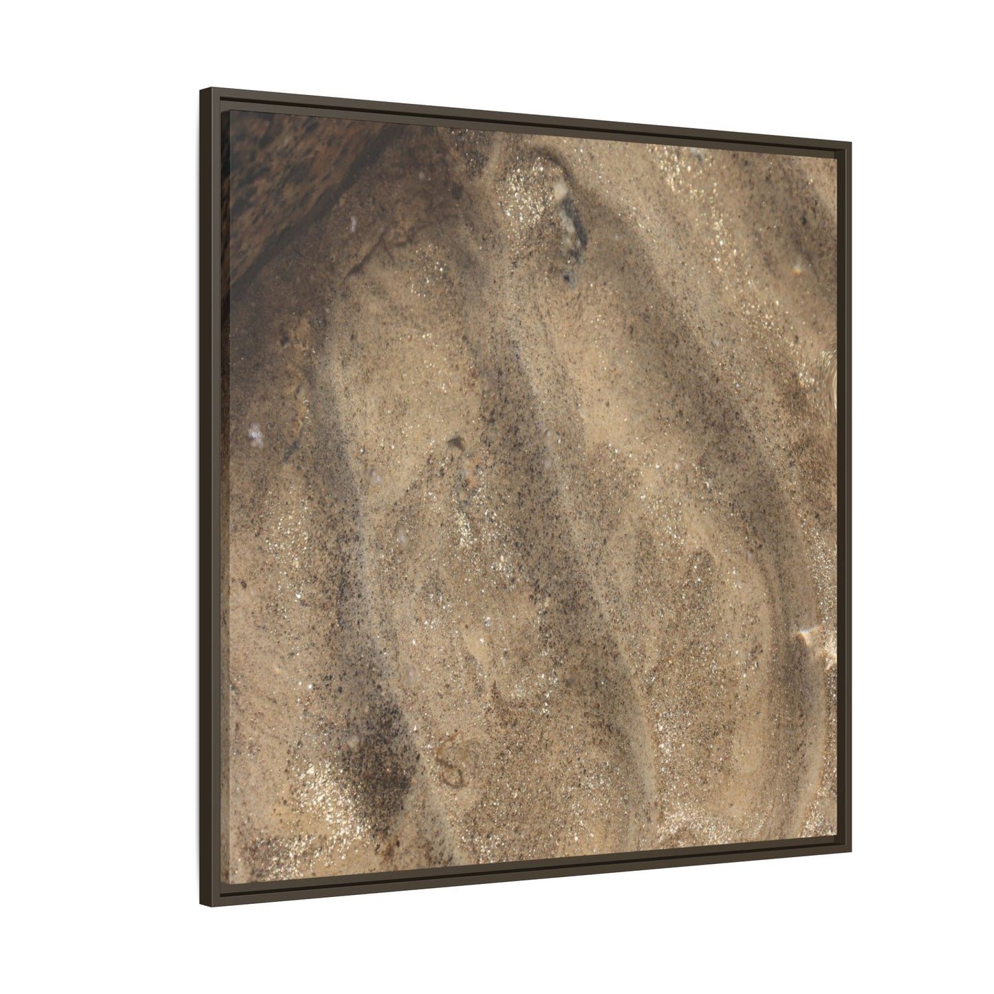 Tidal Pool Secrets - Unique Stretched Canvas Wall Art - Art By Earth
