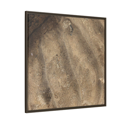 Tidal Pool Secrets - Unique Stretched Canvas Wall Art - Art By Earth