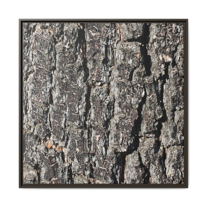 Bark Study in Gray - Unique Stretched Canvas Wall Art - Art By Earth
