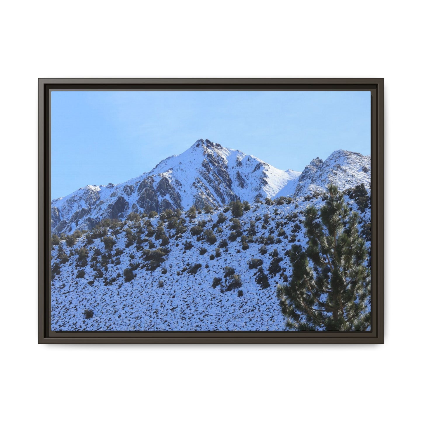 Snow's Embrace - Unique Stretched Canvas Wall Art