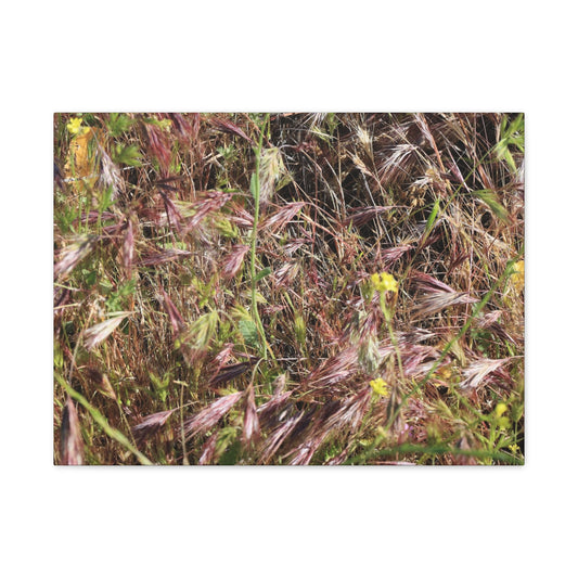 Autumn Wildflower Meadow in Transition - Unique Frameless Canvas Wall Art - Art By Earth