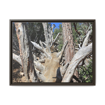 Forest Sentinels - Unique Stretched Canvas Wall Art