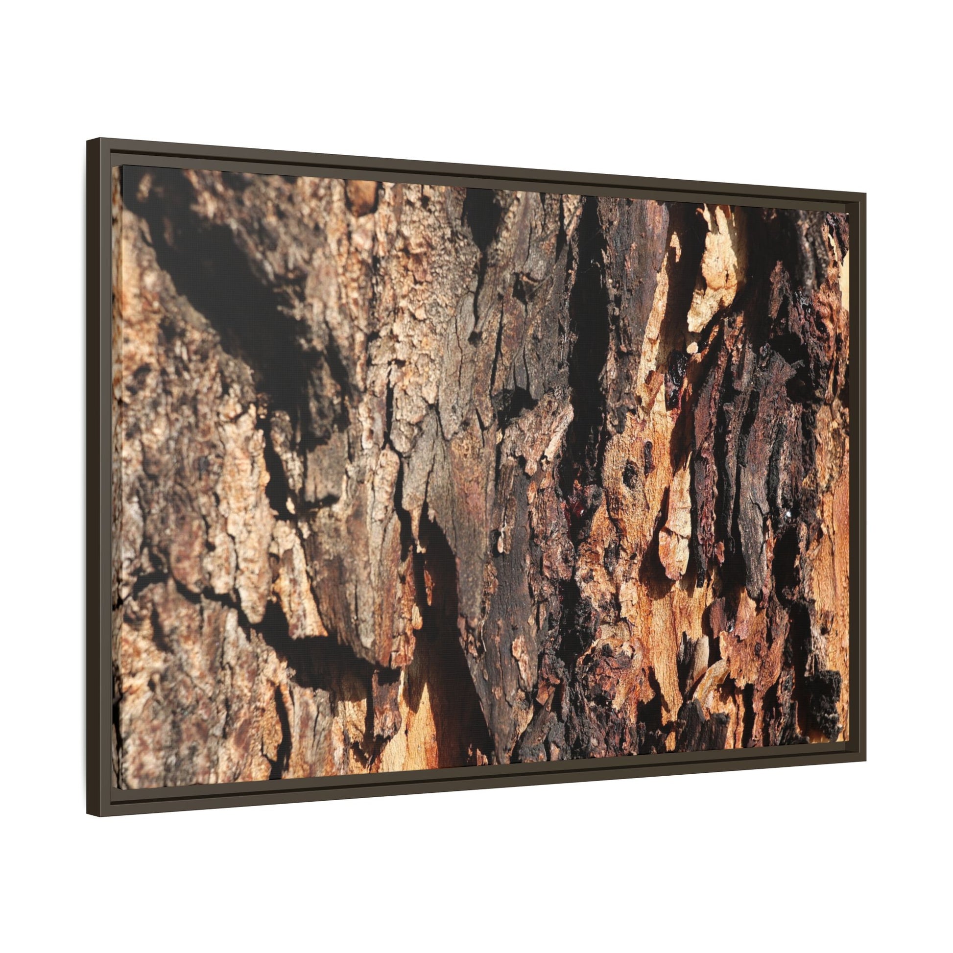 Rugged Beauty - Unique Stretched Canvas Wall Art - Art By Earth