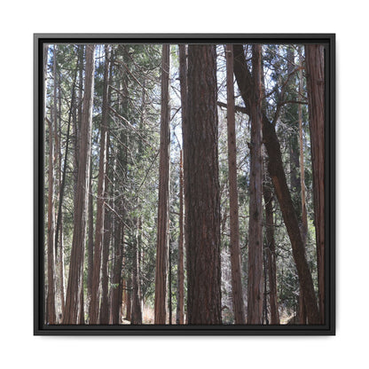 Forest Cathedral - Unique Stretched Canvas Wall Art - Art By Earth