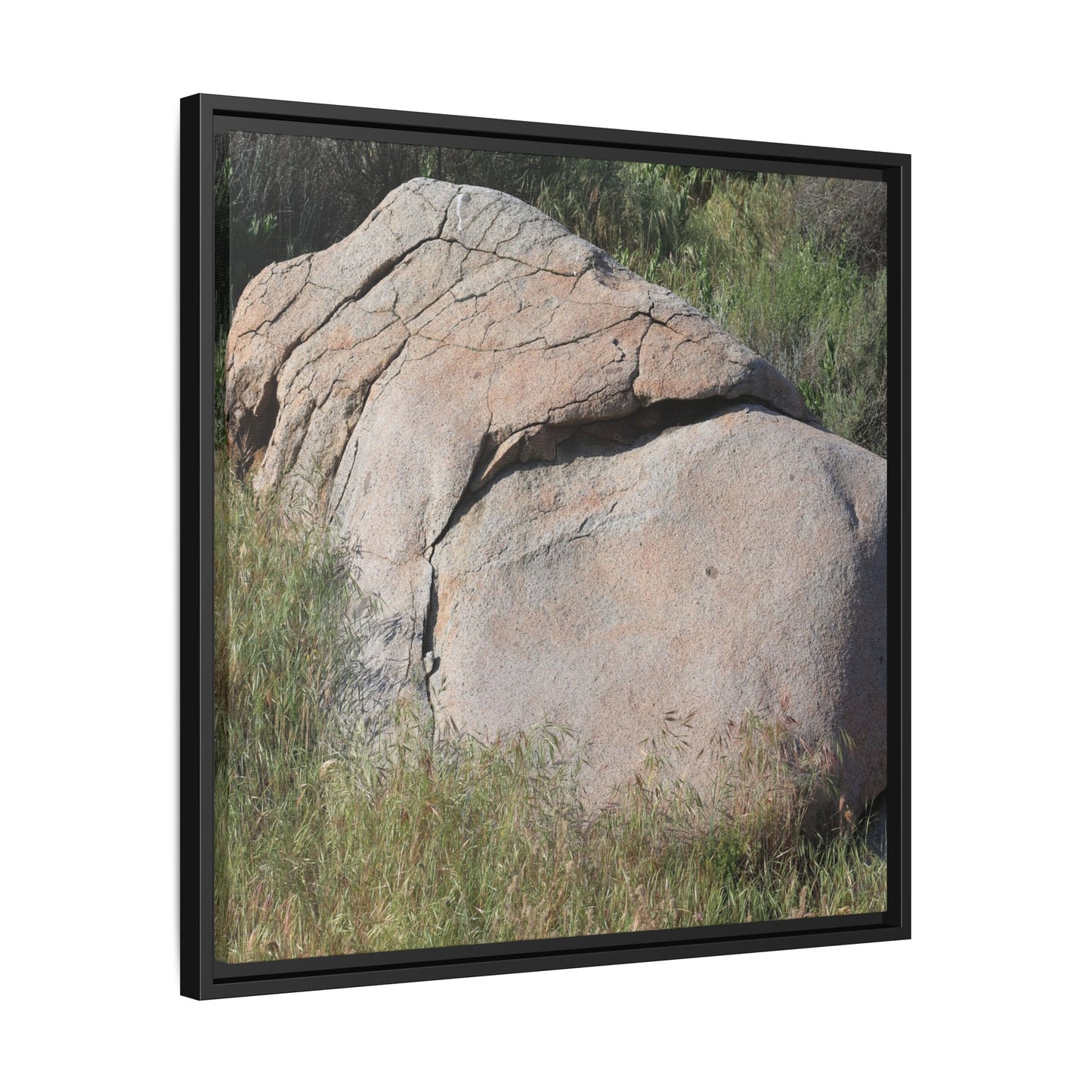 Stone Head Emerging from Earth - Unique Stretched Canvas Wall Art - Art By Earth