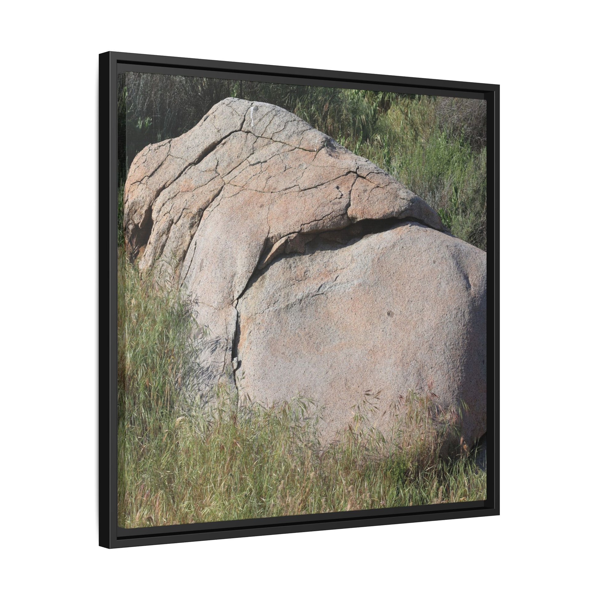 Stone Head Emerging from Earth - Unique Stretched Canvas Wall Art - Art By Earth