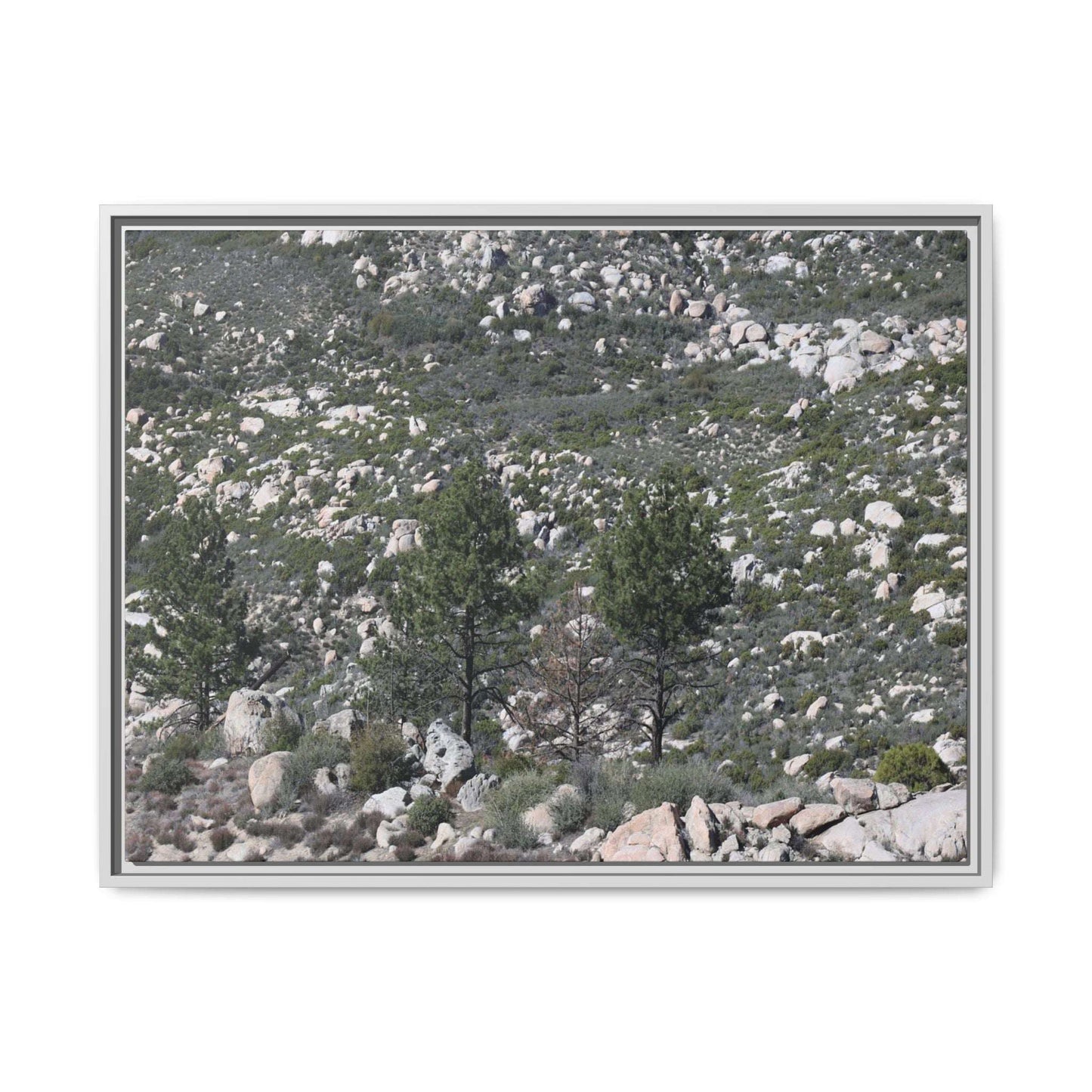 Rocky Hillside with Pine Trees - Unique Stretched Canvas Wall Art - Art By Earth