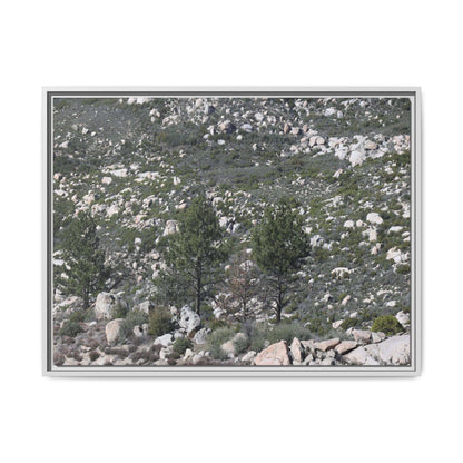 Rocky Hillside with Pine Trees - Unique Stretched Canvas Wall Art - Art By Earth