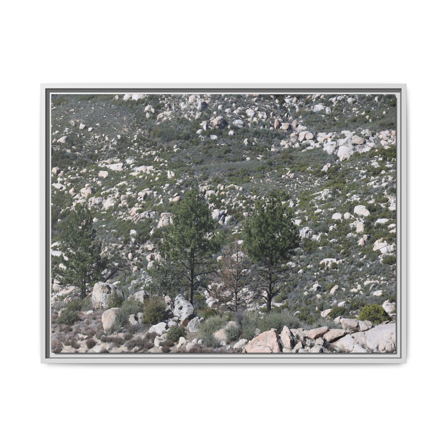 Rocky Hillside with Pine Trees - Unique Stretched Canvas Wall Art - Art By Earth