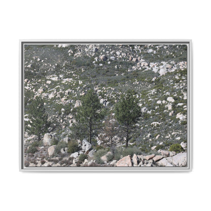 Rocky Hillside with Pine Trees - Unique Stretched Canvas Wall Art - Art By Earth