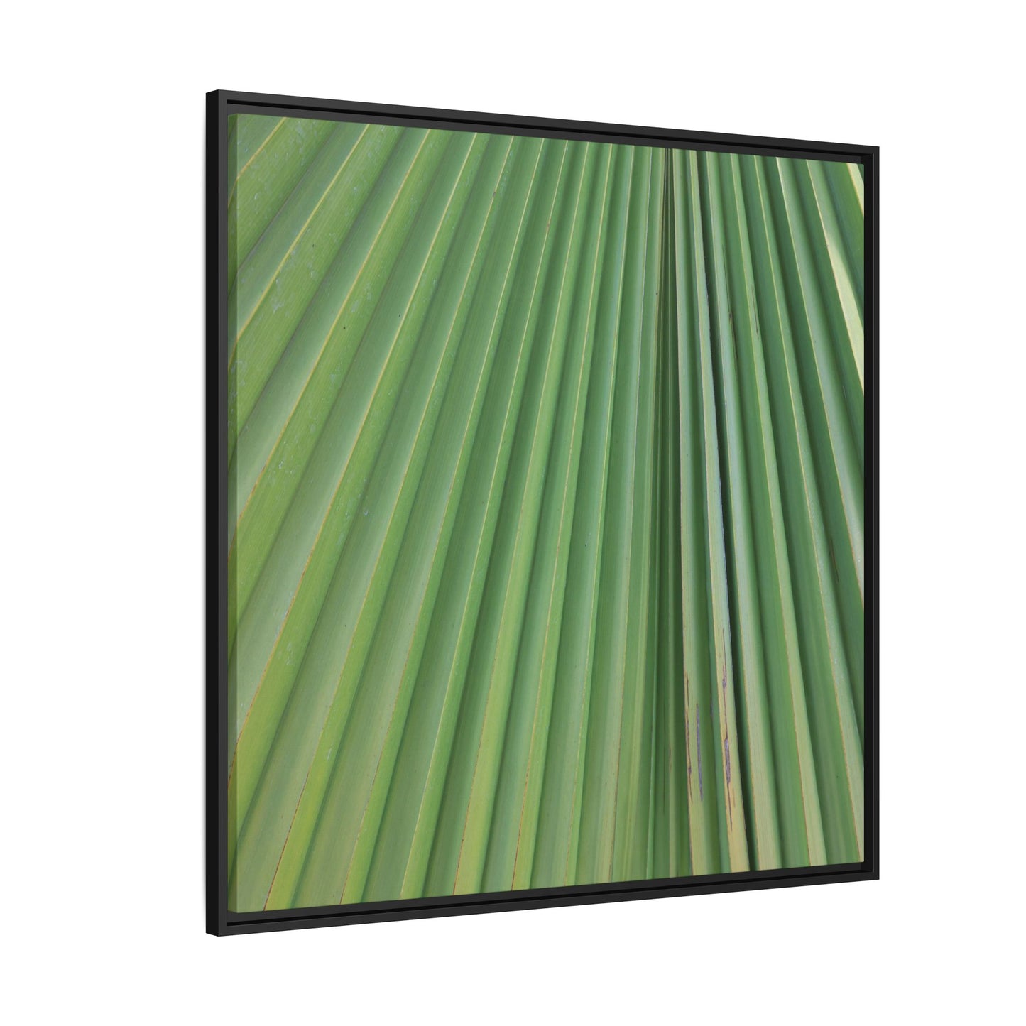 Emerald Rays - Unique Stretched Canvas Wall Art - Art By Earth