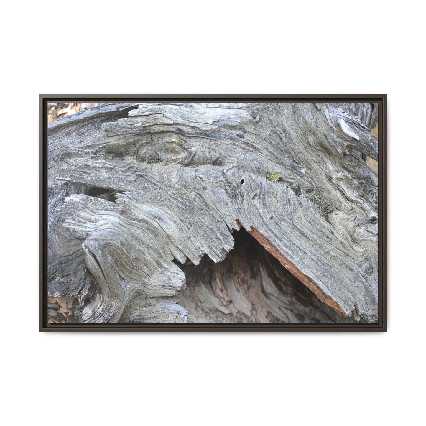 Driftwood Dreams - Unique Stretched Canvas Wall Art - Art By Earth