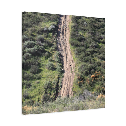 Straight Road Cutting Through Wilderness - Unique Frameless Canvas Wall Art - Art By Earth