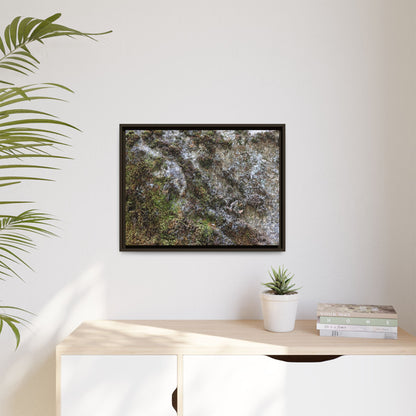Mossy Whispers - Unique Stretched Canvas Wall Art - Art By Earth