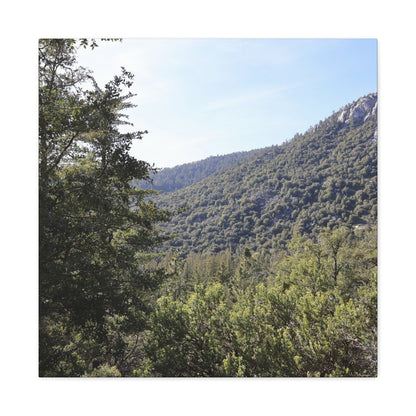 Mountain Vista Through Forest - Unique Frameless Canvas Wall Art