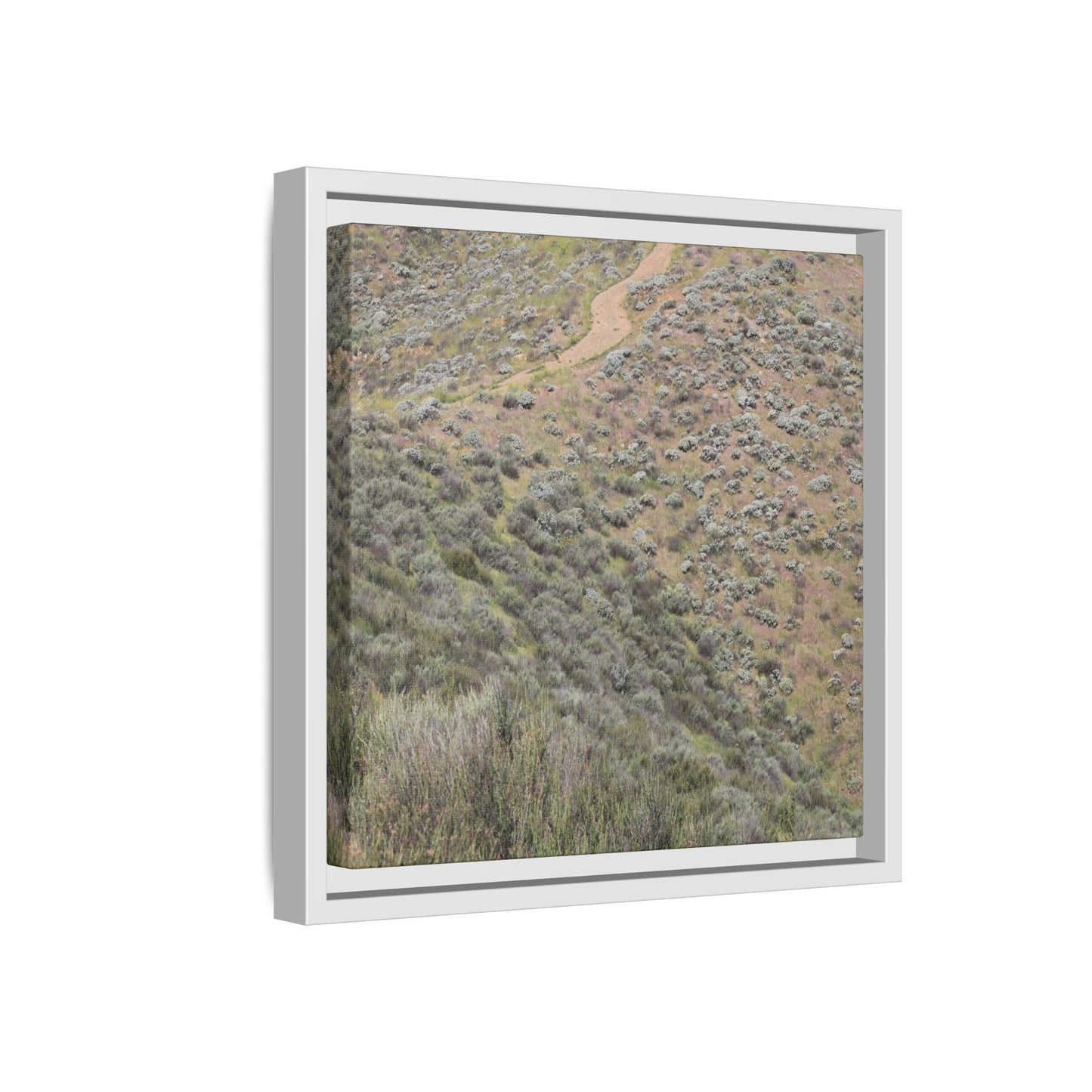 Arid Landscape with Winding Path - Unique Stretched Canvas Wall Art - Art By Earth