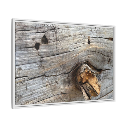 Weathered Wood Texture - Unique Stretched Canvas Wall Art - Art By Earth
