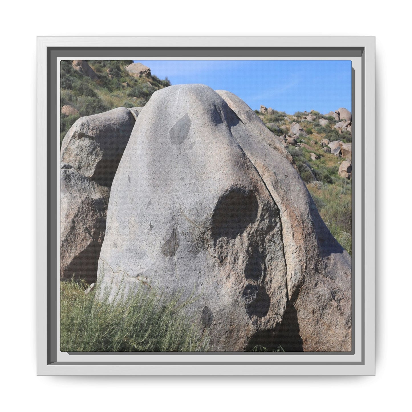 Skull Rock Desert - Unique Stretched Canvas Wall Art - Art By Earth