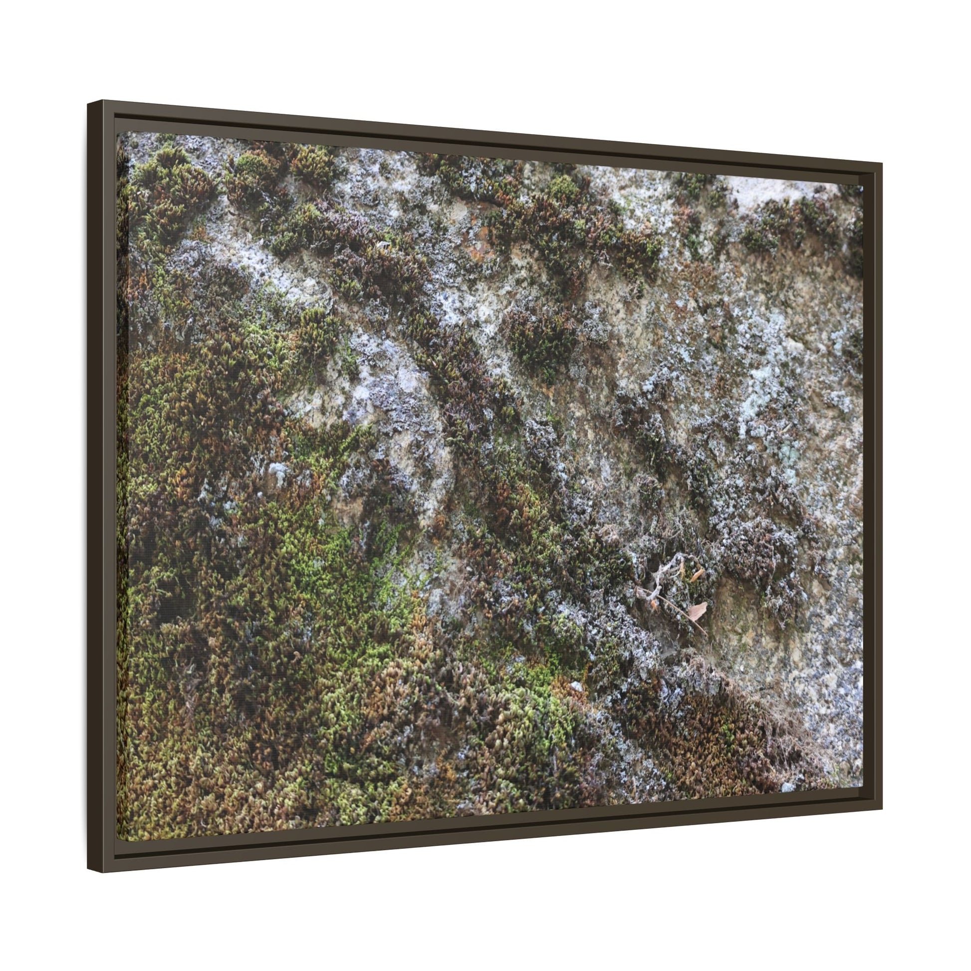 Mossy Whispers - Unique Stretched Canvas Wall Art - Art By Earth
