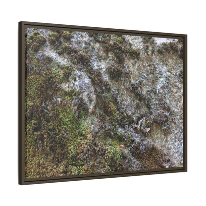 Mossy Whispers - Unique Stretched Canvas Wall Art - Art By Earth