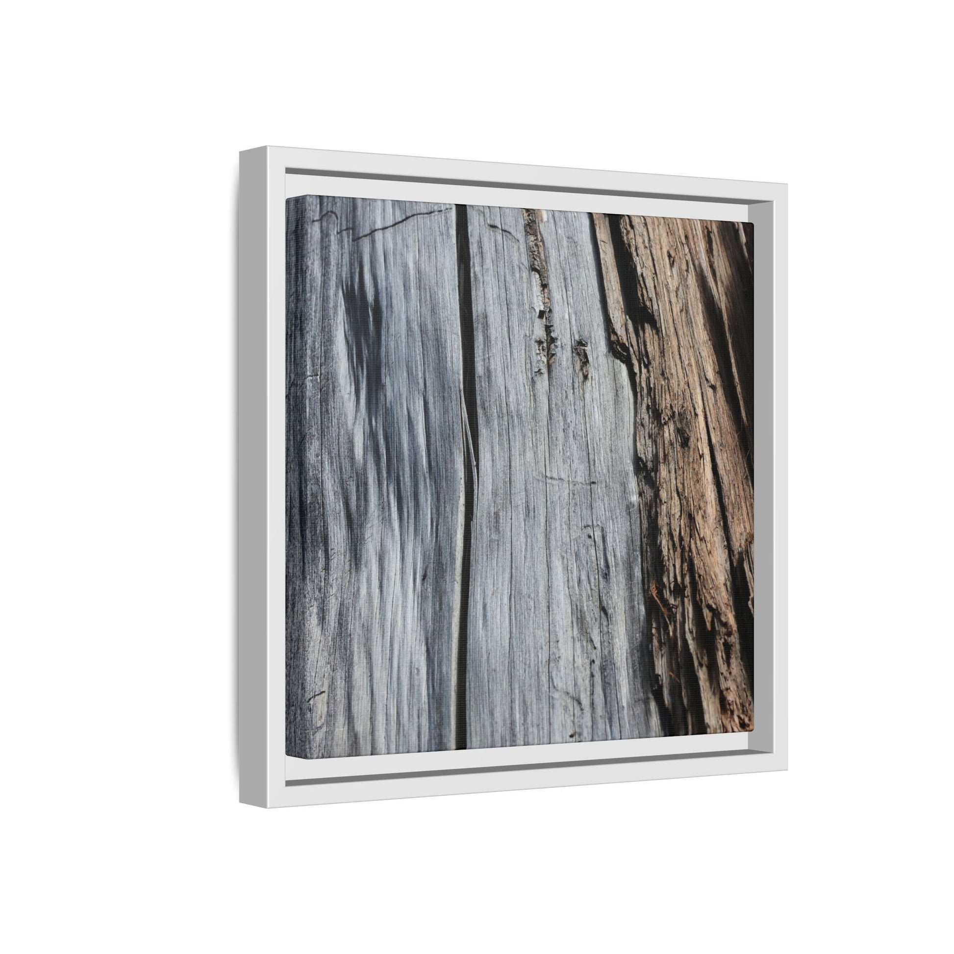 Wood's Lament - Unique Stretched Canvas Wall Art - Art By Earth