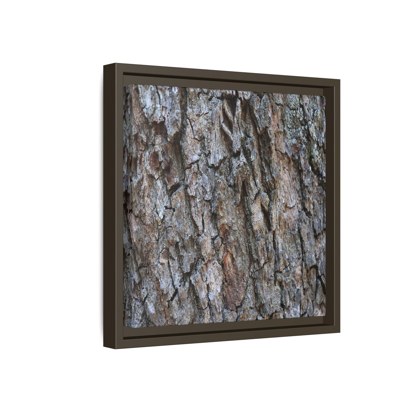 Woodland Skin - Unique Stretched Canvas Wall Art - Art By Earth
