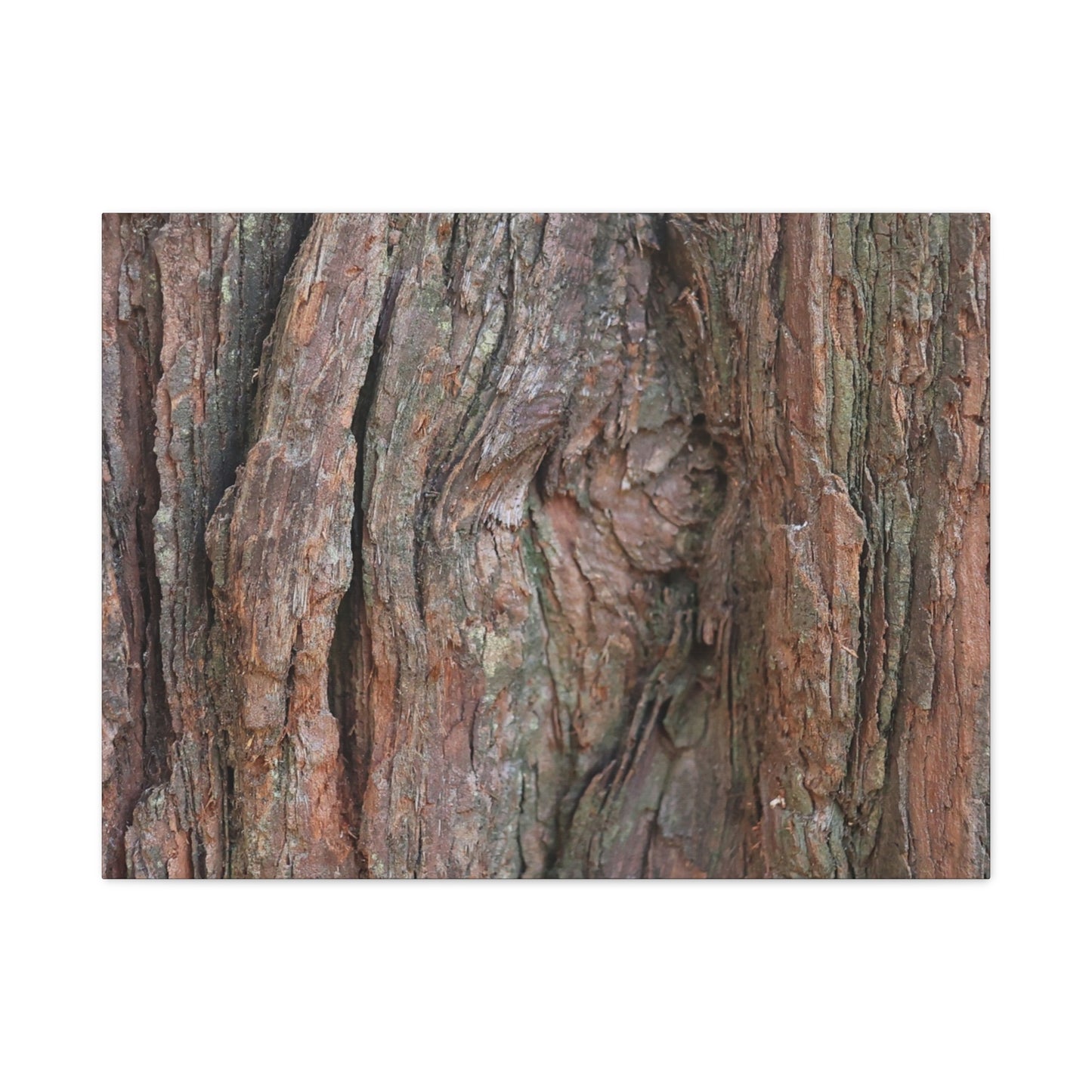 Rustic Embrace - Unique Frameless Canvas Wall Art - Art By Earth