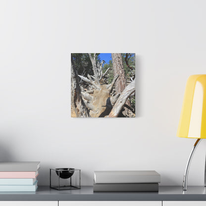 Twisted Roots - Unique Frameless Canvas Wall Art