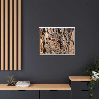 Rugged Rhythms - Unique Stretched Canvas Wall Art - Art By Earth