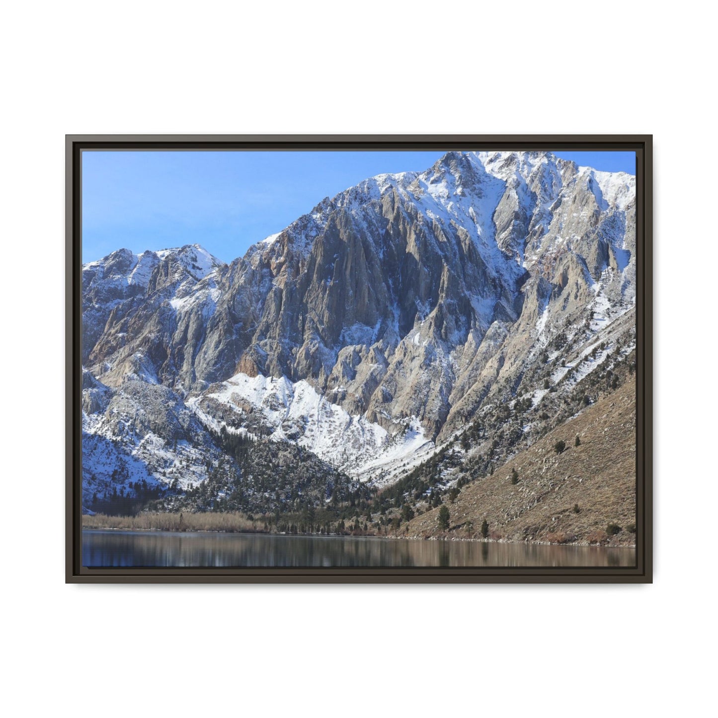 Frozen Reflection - Unique Stretched Canvas Wall Art
