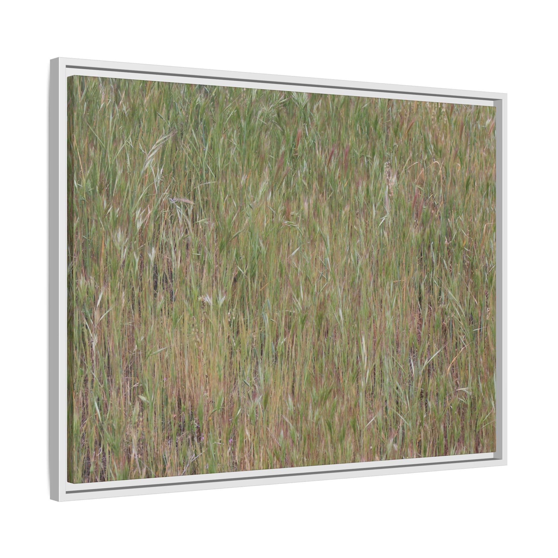 Field of Dreams - Unique Stretched Canvas Wall Art - Art By Earth