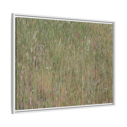 Field of Dreams - Unique Stretched Canvas Wall Art - Art By Earth