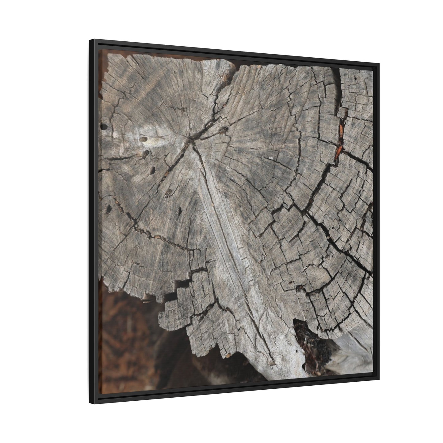 Time's Signature - Unique Stretched Canvas Wall Art - Art By Earth