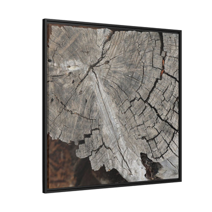 Time's Signature - Unique Stretched Canvas Wall Art - Art By Earth