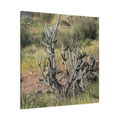 Desert Bloom in Shadow - Unique Frameless Canvas Wall Art - Art By Earth