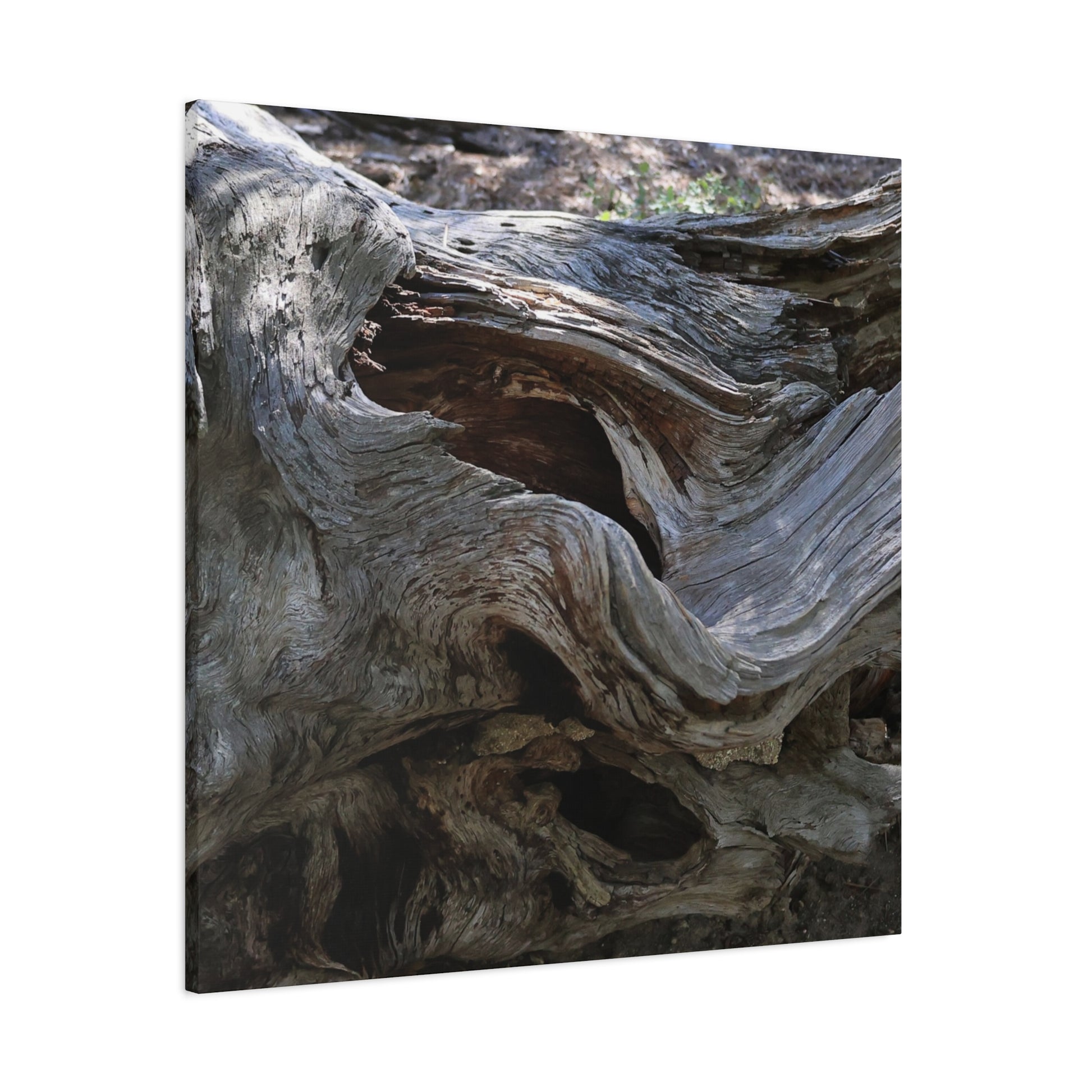 Twisted Fate - Unique Frameless Canvas Wall Art - Art By Earth