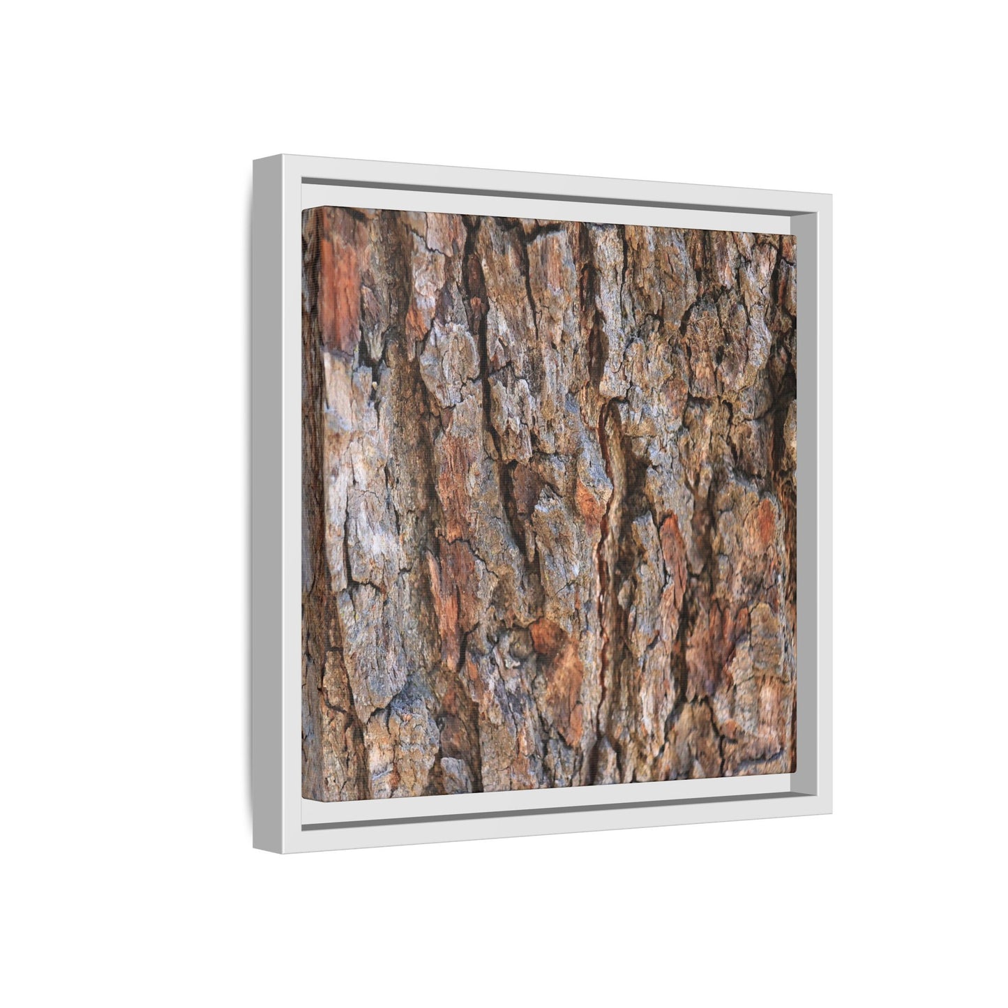 Tree's Timeworn Tale - Unique Stretched Canvas Wall Art - Art By Earth