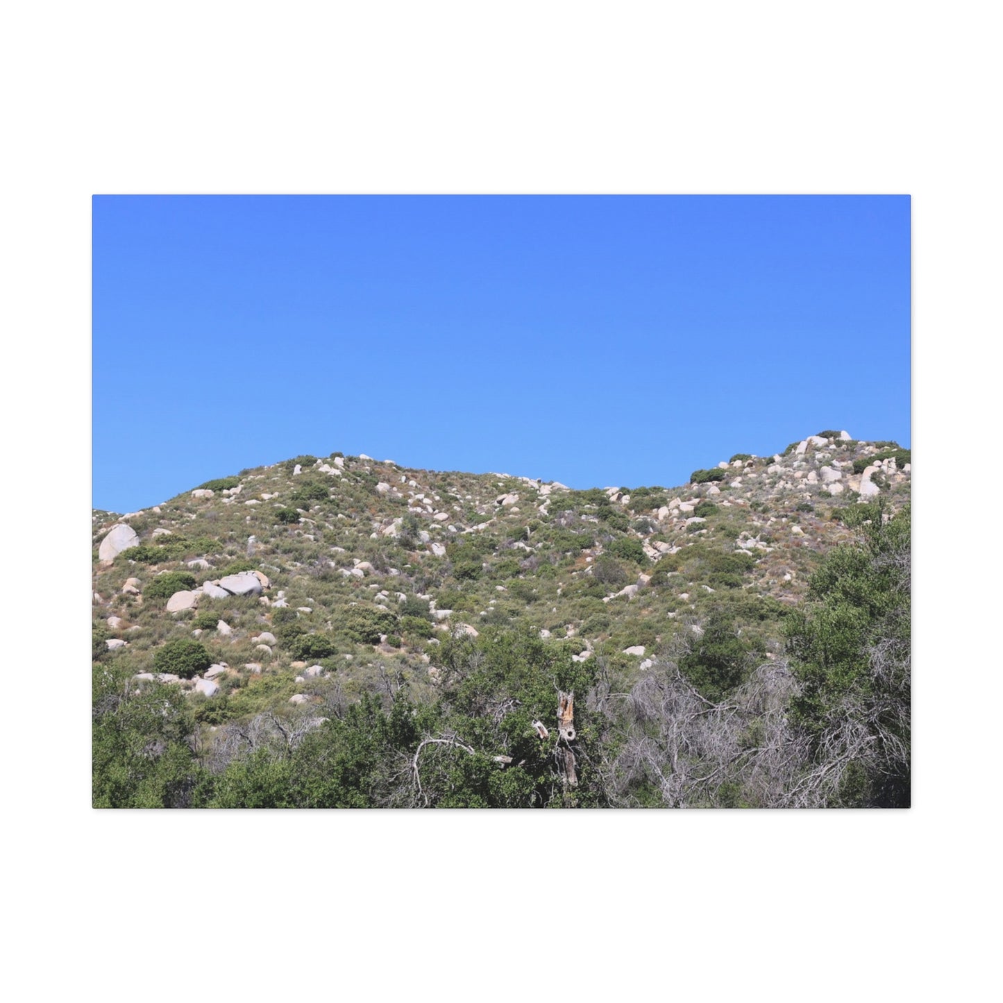 Rocky Hills with Desert Vegetation - Unique Frameless Canvas Wall Art