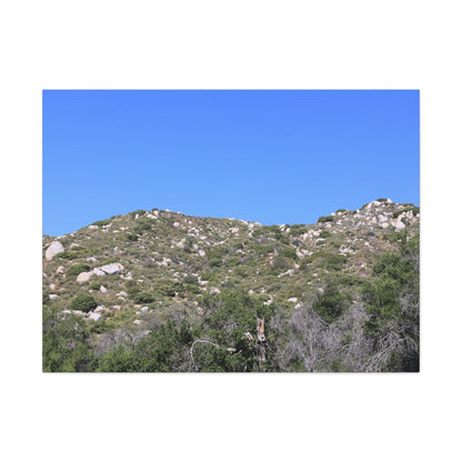 Rocky Hills with Desert Vegetation - Unique Frameless Canvas Wall Art