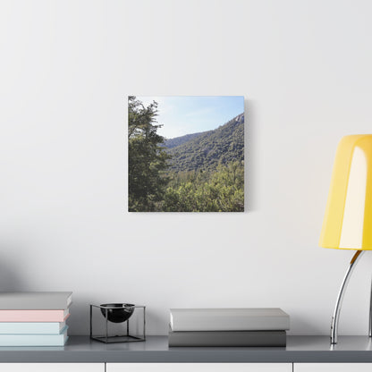 Mountain Vista Through Forest - Unique Frameless Canvas Wall Art