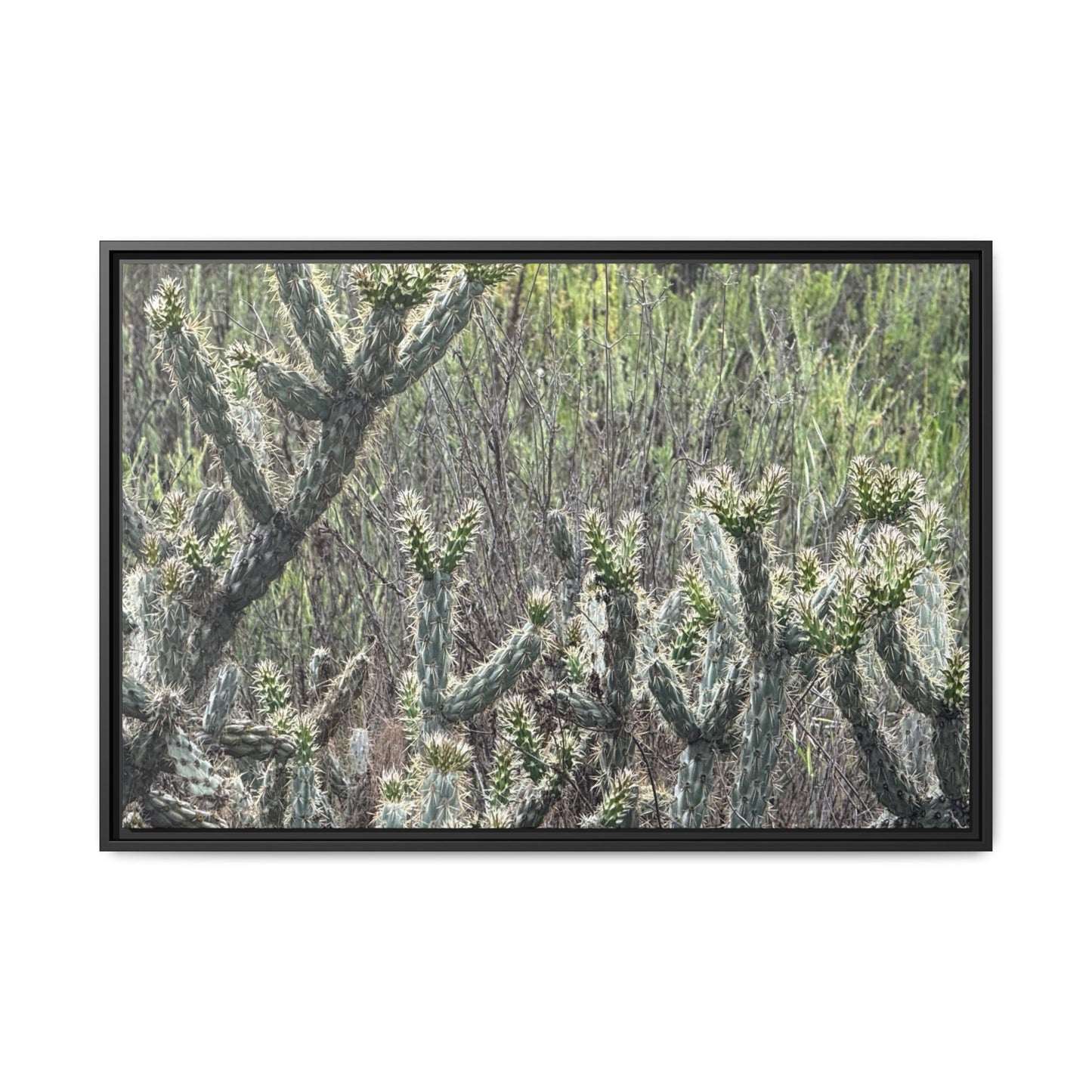 Prickly Paradise - Unique Stretched Canvas Wall Art - Art By Earth