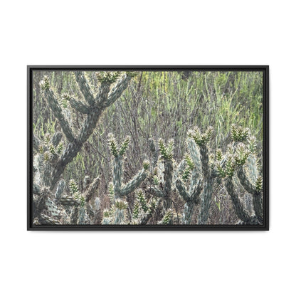 Prickly Paradise - Unique Stretched Canvas Wall Art - Art By Earth
