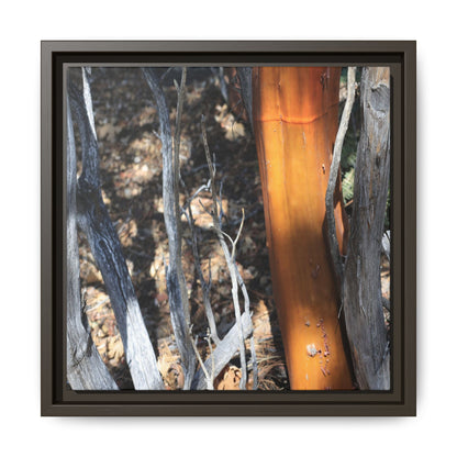 Burnt Trees and Golden Trunk - Unique Stretched Canvas Wall Art