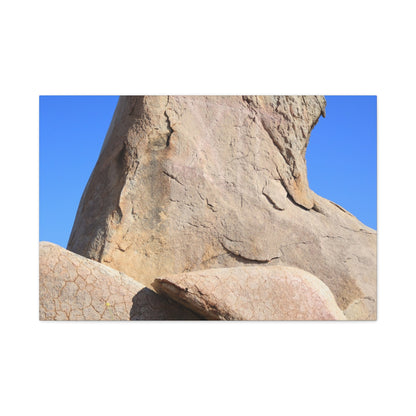 Boulder's Embrace - Unique Frameless Canvas Wall Art - Art By Earth