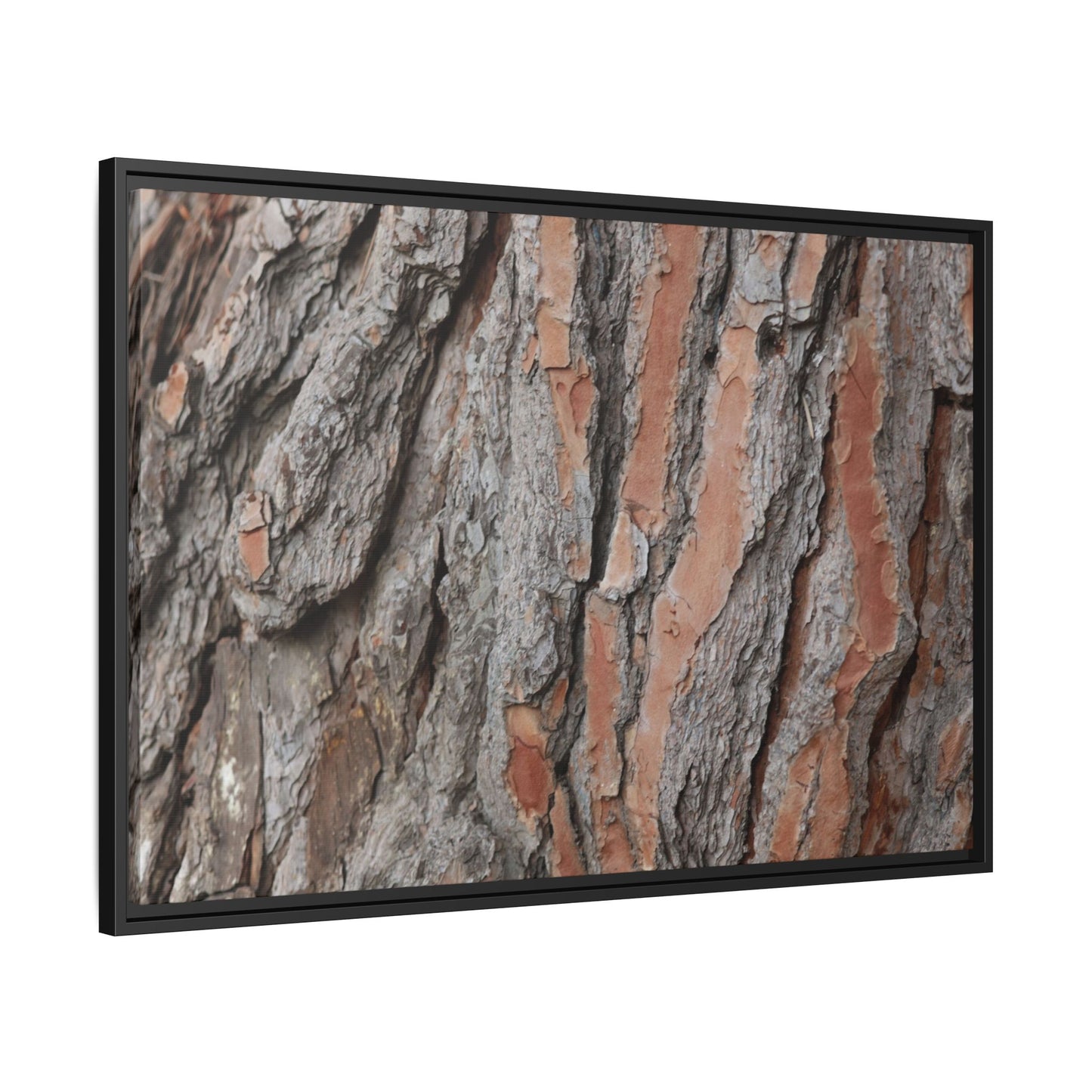 Woodland Layers - Unique Stretched Canvas Wall Art - Art By Earth