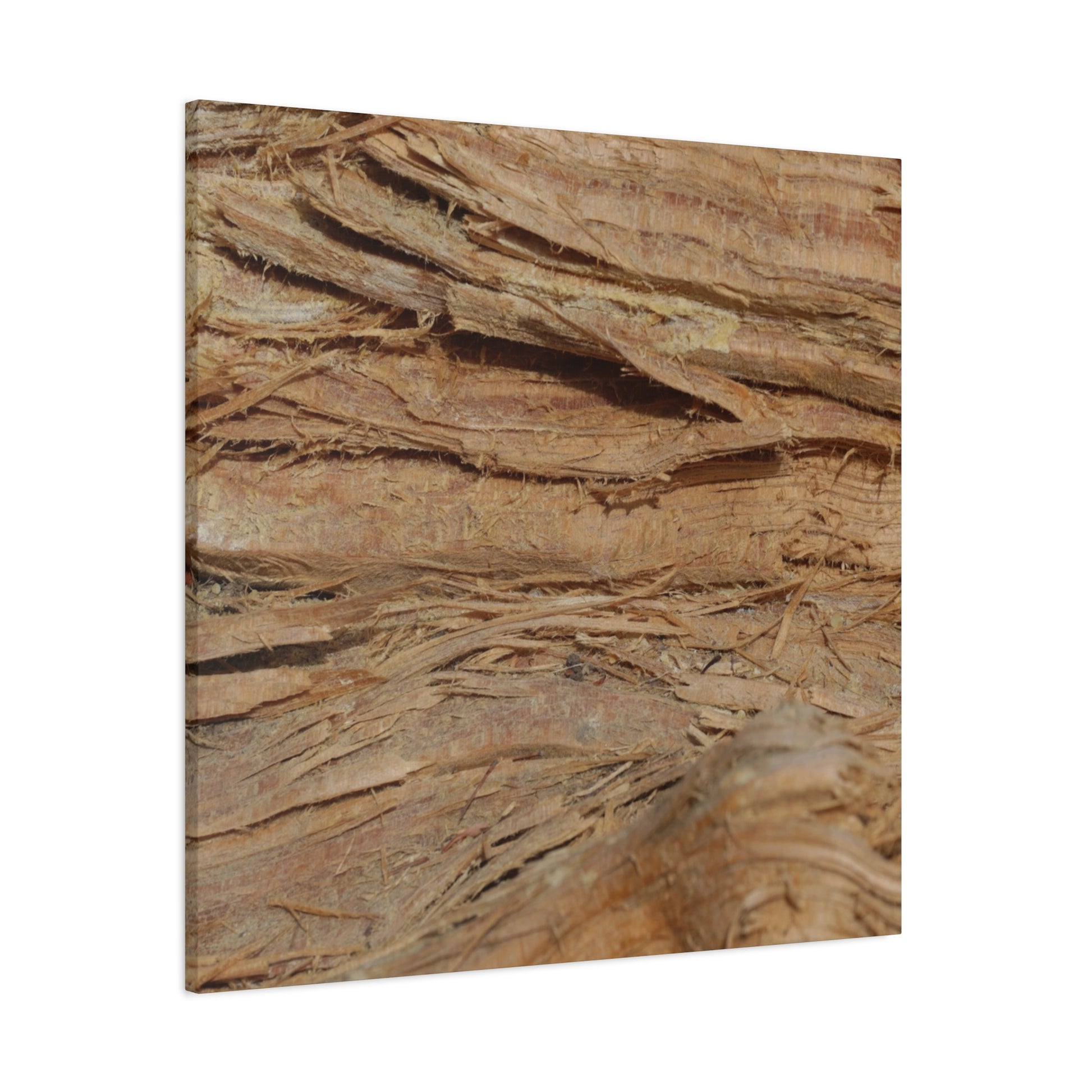 Layers of Memory - Unique Frameless Canvas Wall Art - Art By Earth