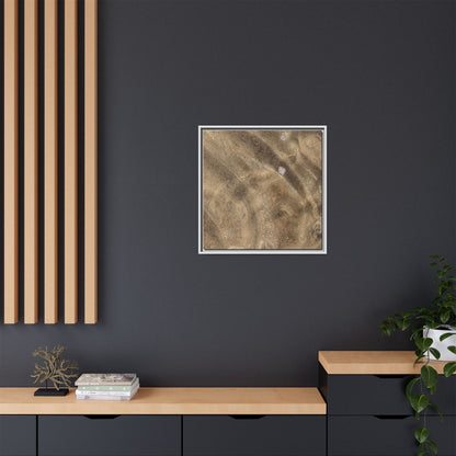 Underwater Sand Exploration - Unique Stretched Canvas Wall Art - Art By Earth