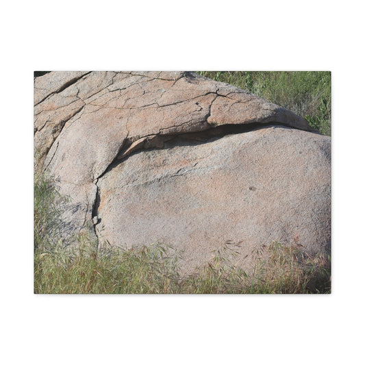 Granite Boulder in Desert Scrub - Unique Frameless Canvas Wall Art - Art By Earth