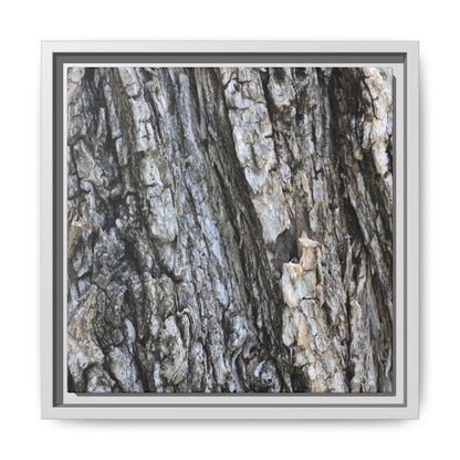 Twisted Textures - Unique Stretched Canvas Wall Art - Art By Earth